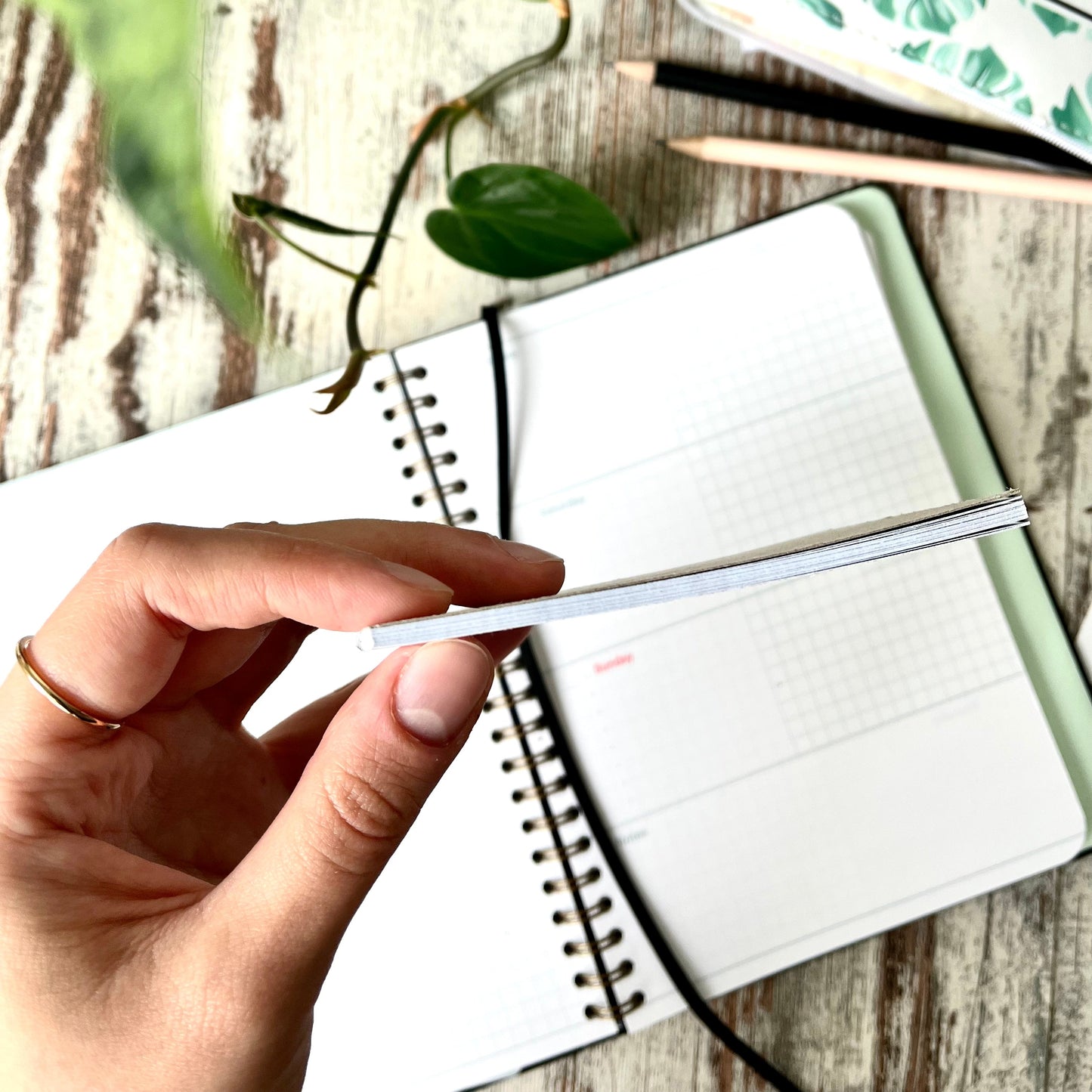 Notizblock A7 - Monstera deliciosa, Notiz Zettel, To Do Liste