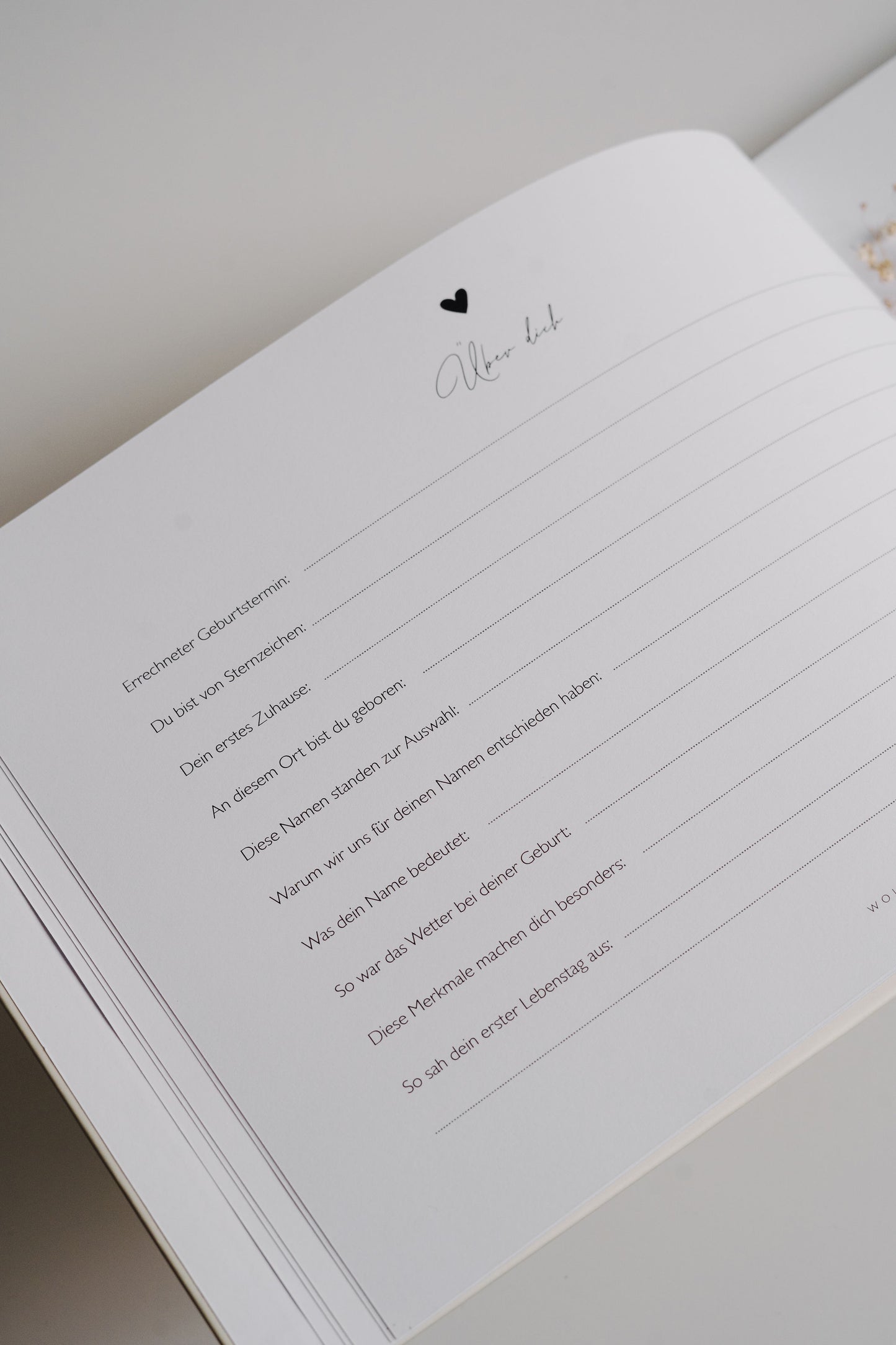 Baby Meilensteinbuch DEINE ERSTEN DREI JAHRE - ALBAY